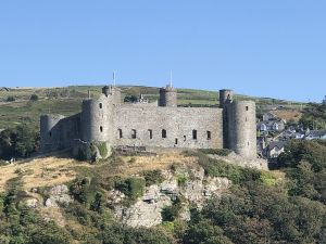 Royal St Davids Castle Iphone